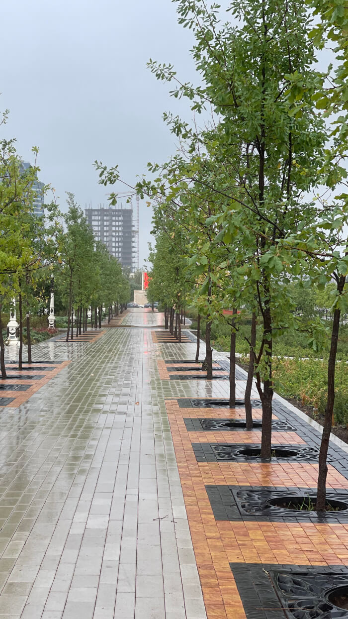 Приствольная решетка для дерева ZKING CRUST 1.2х1.2м Черная в Казани фото