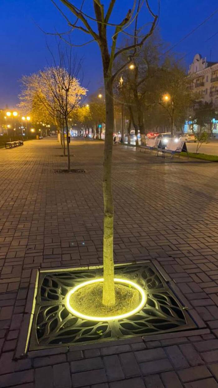 Приствольная решетка для дерева ZKING CRUST 1.2х1.2м Черная в Казани фото